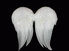 wing1.gif